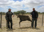Wild Boar with Fritz and Alan